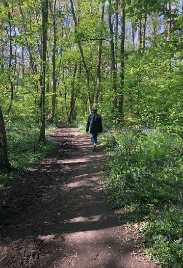 Homme marchant sur un chemin en forêt