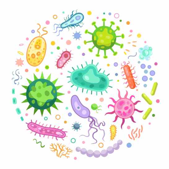 Micro-organismes mon microbiote et moi