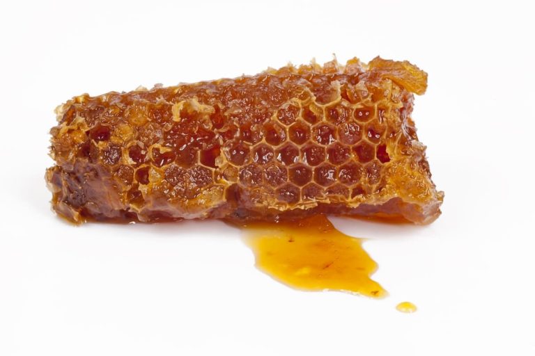 Lire la suite à propos de l’article Les vertus du miel