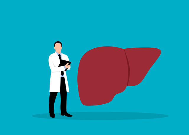 Illustration médecin devant un foie géant